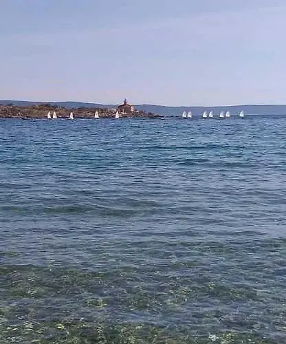 Nikol ماكارسكا